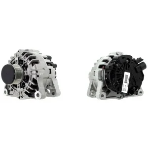 bouvier-auto3397575