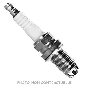 bouvier-auto3403758