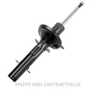 bouvier-auto3590851