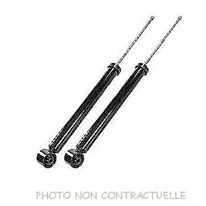 bouvier-auto3912233