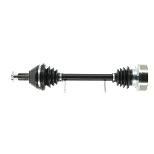 bouvier-auto3924899