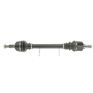 bouvier-auto3926294