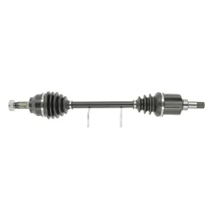 bouvier-auto3933254