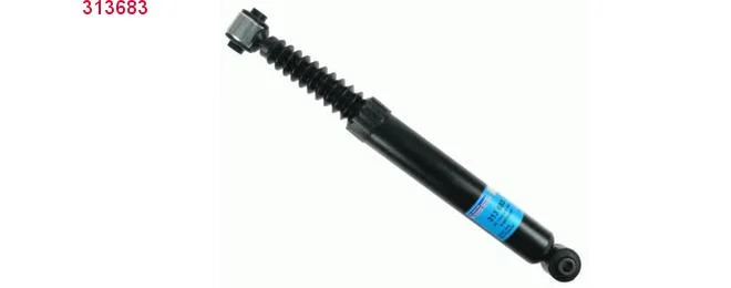 bouvier-auto3933340