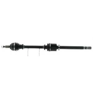 bouvier-auto3942533