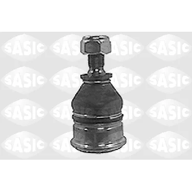 bouvier-auto3959011