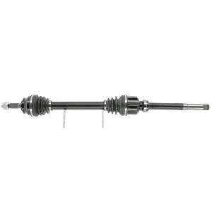 bouvier-auto3966474
