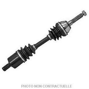 bouvier-auto3974269