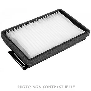 bouvier-auto3976299