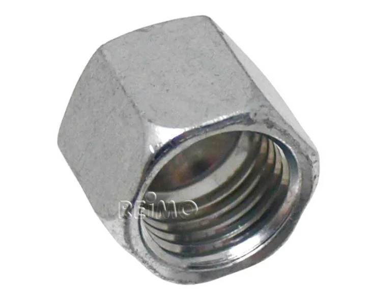 reimo3519671