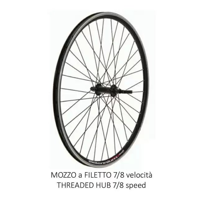 ridewill3359011