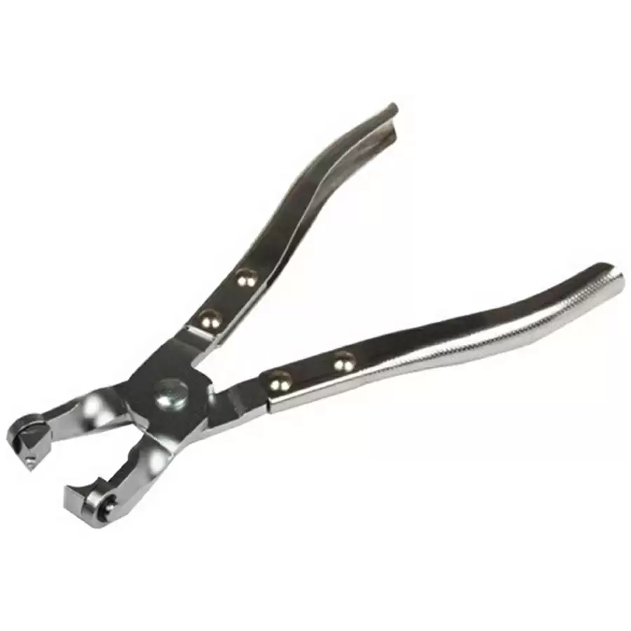 ridewill3407650