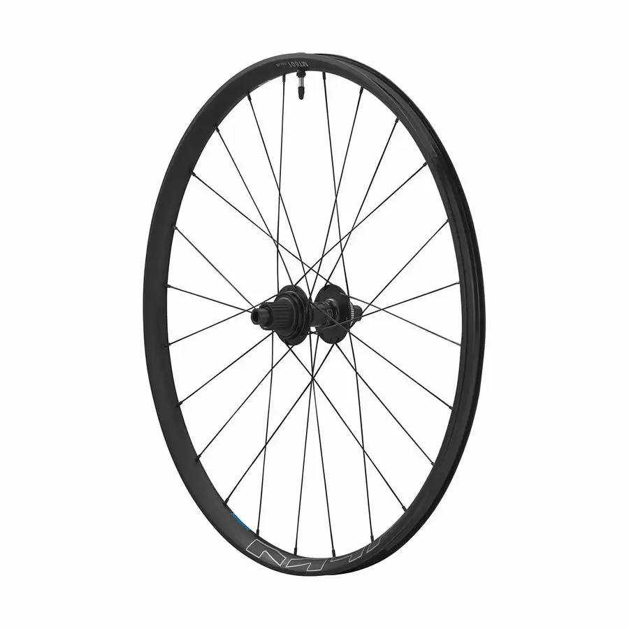ridewill3549247