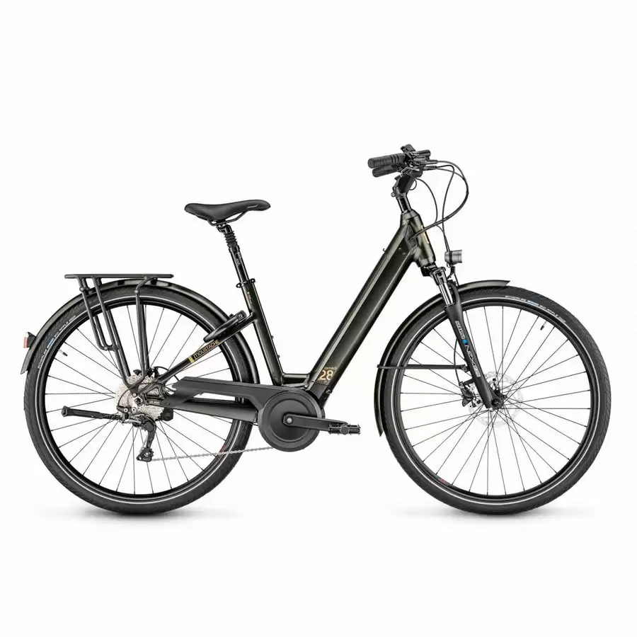 ridewill3562989