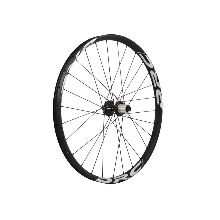 ridewill3567519