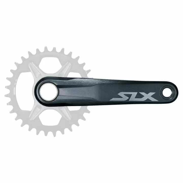 ridewill3606898