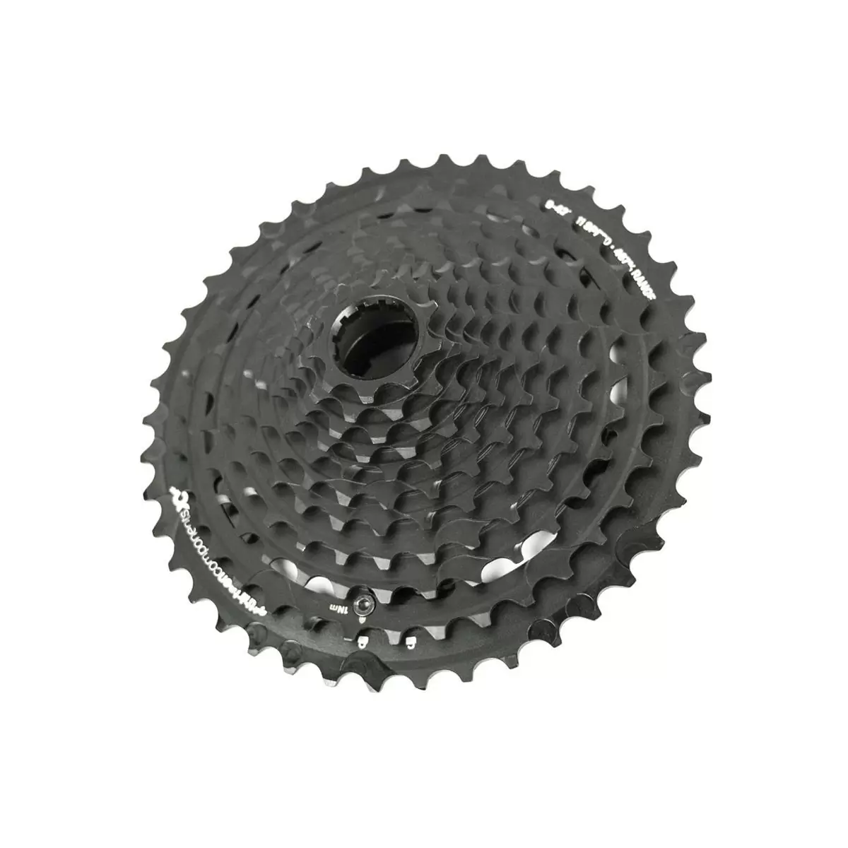 ridewill3631790