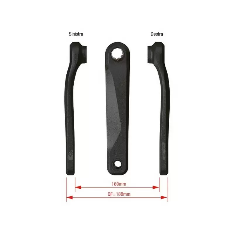 ridewill3659545