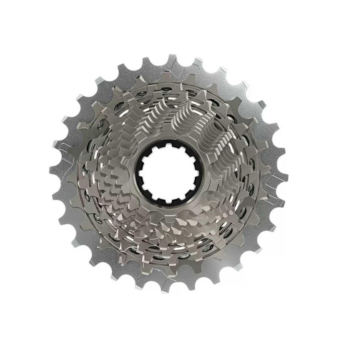 ridewill3679807