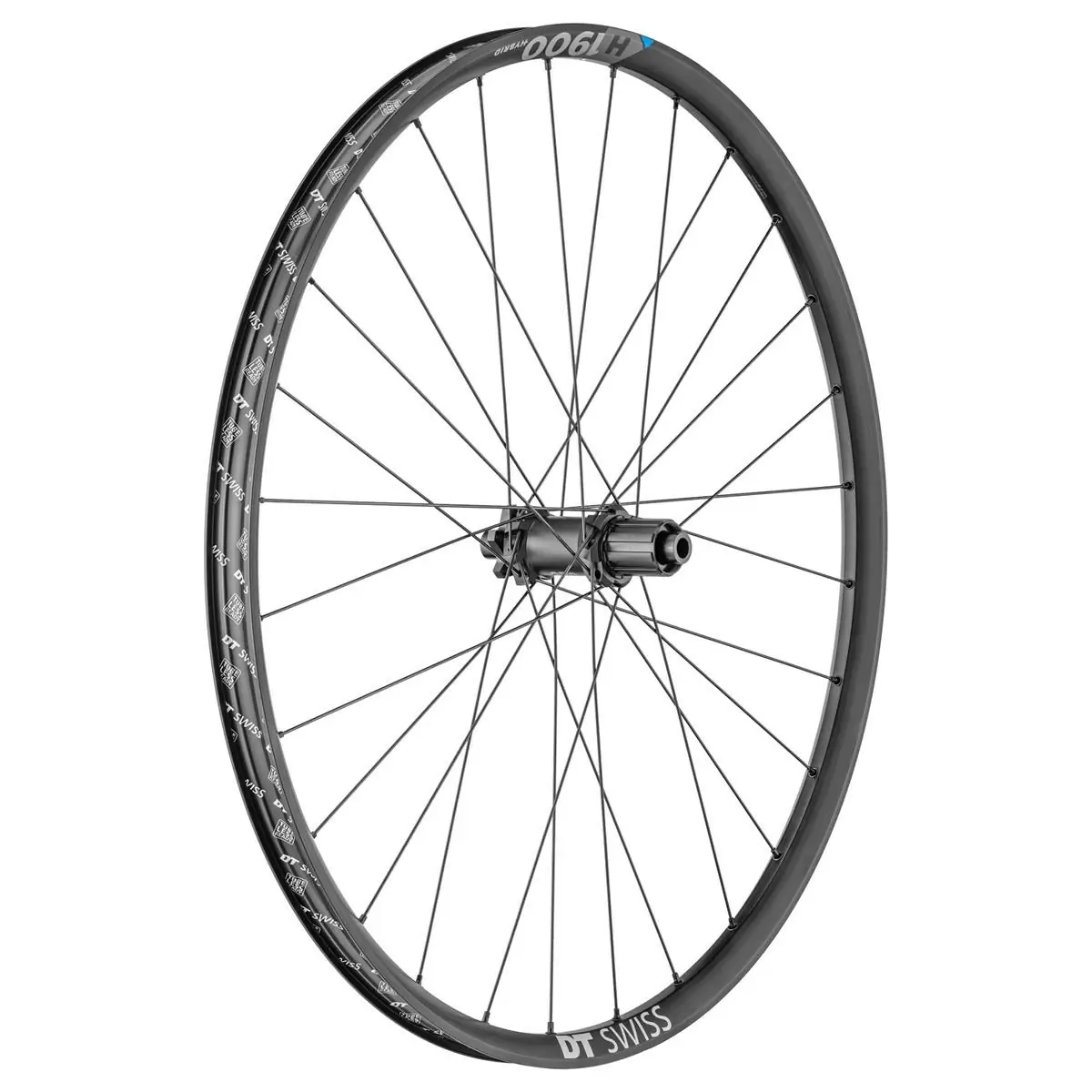 ridewill3689298