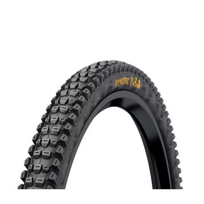 ridewill3695380