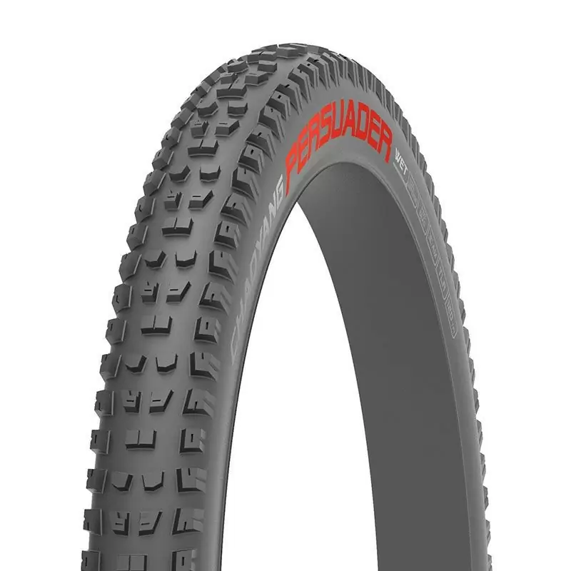 ridewill3698769