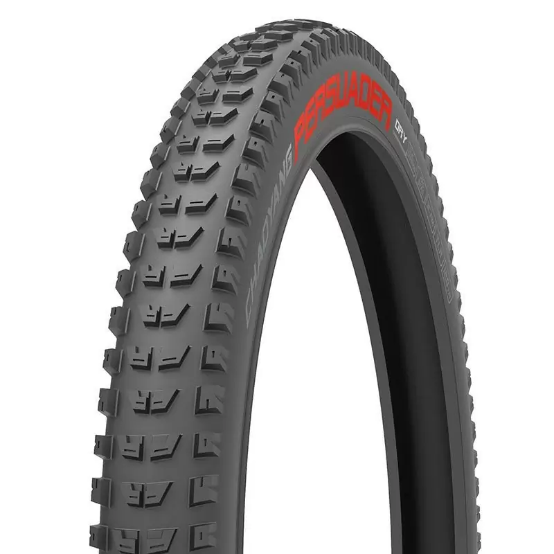 ridewill3698866