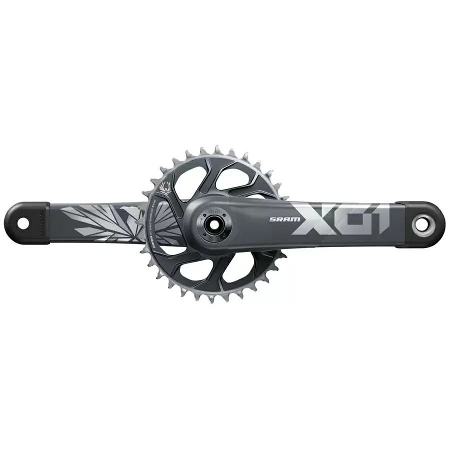 ridewill3707593
