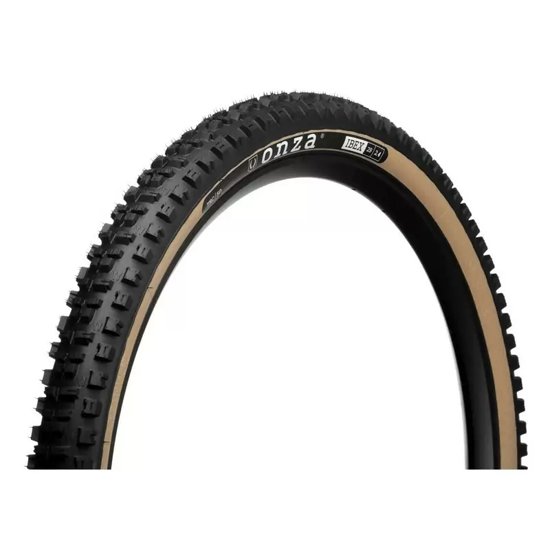 ridewill3719271