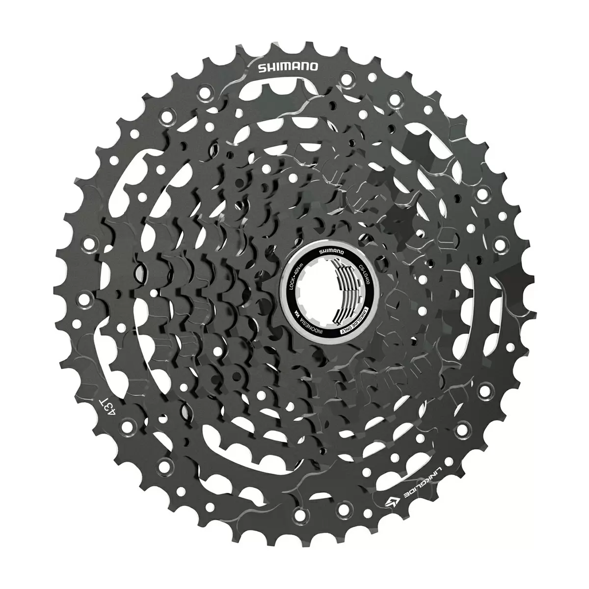 ridewill3726097