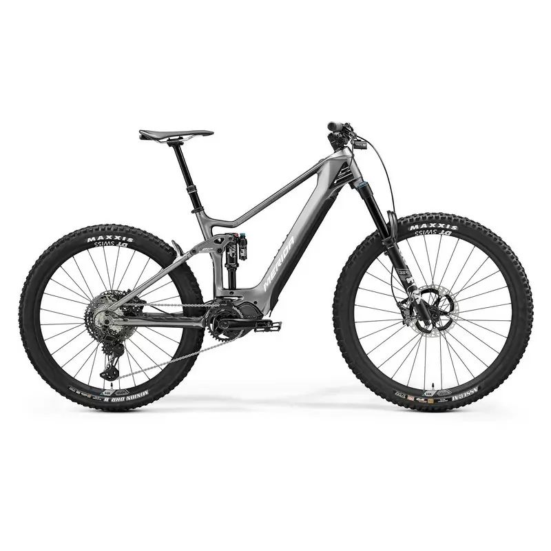 ridewill3742779