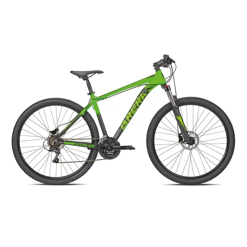 ridewill3753585