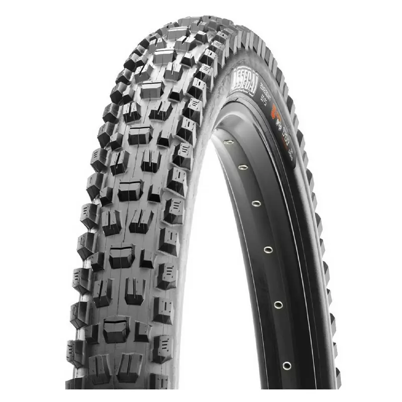 ridewill3775030