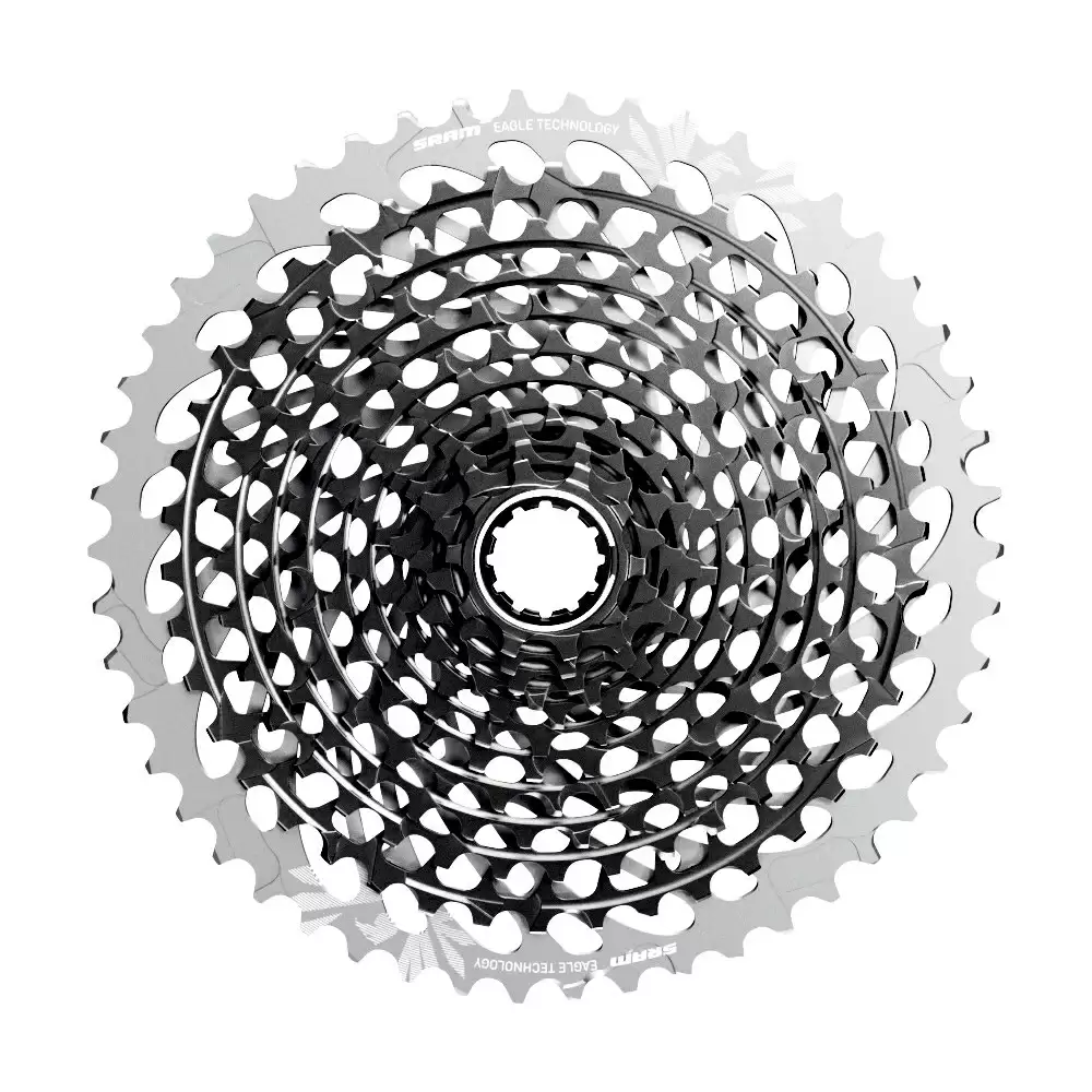 ridewill3779097