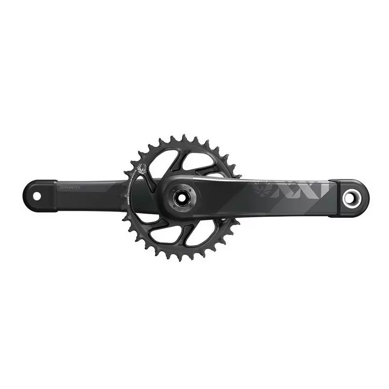 ridewill3779379