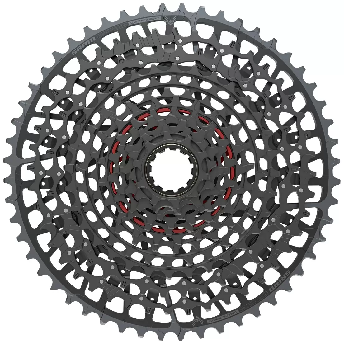 ridewill3781993