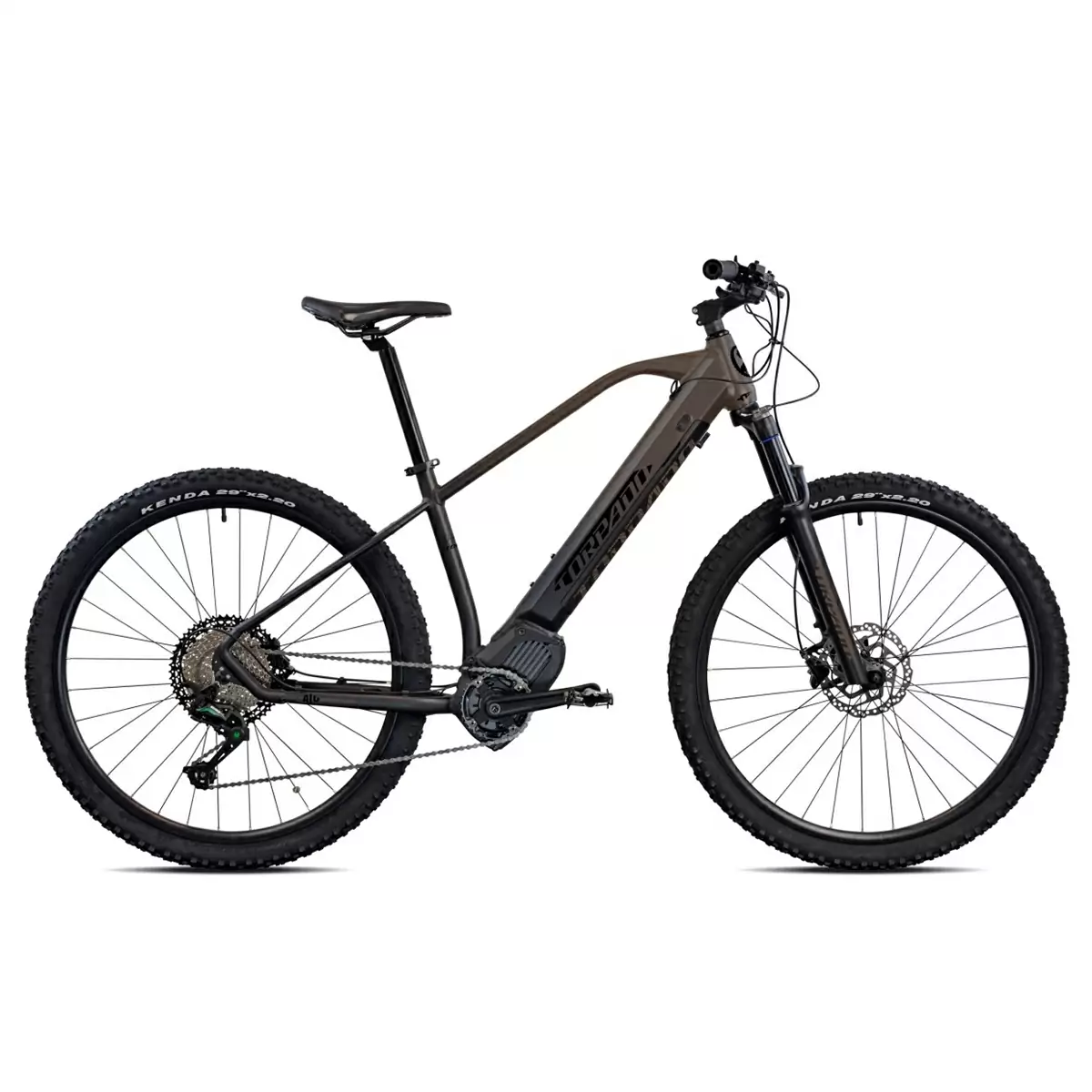 ridewill3785158