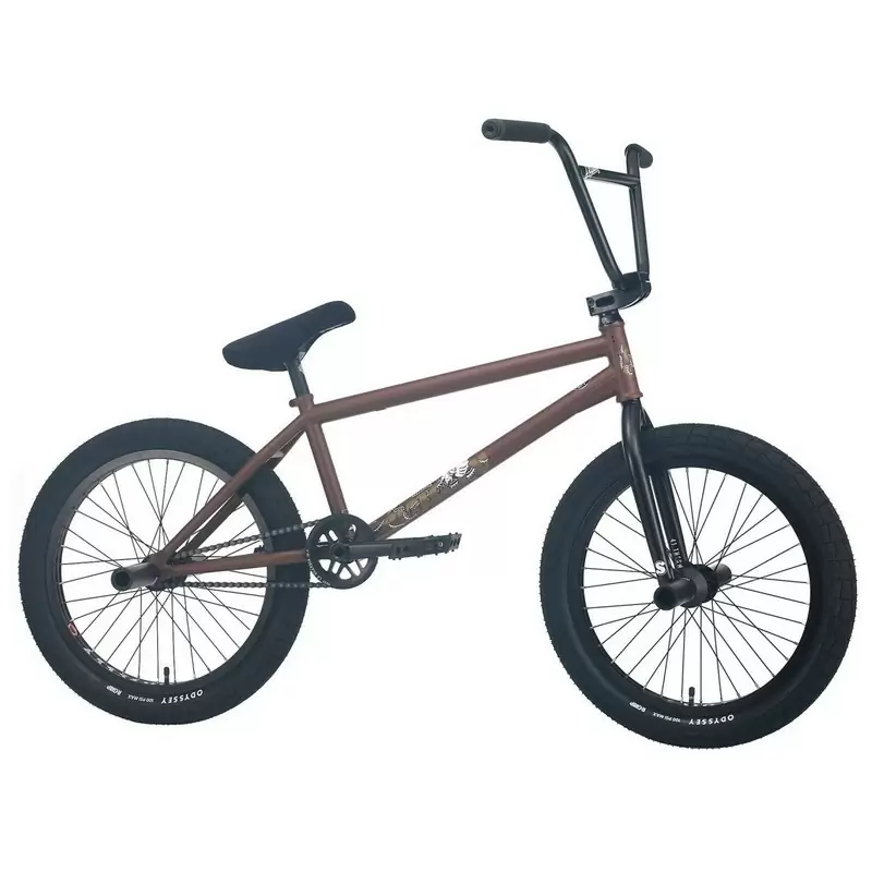 ridewill3817596