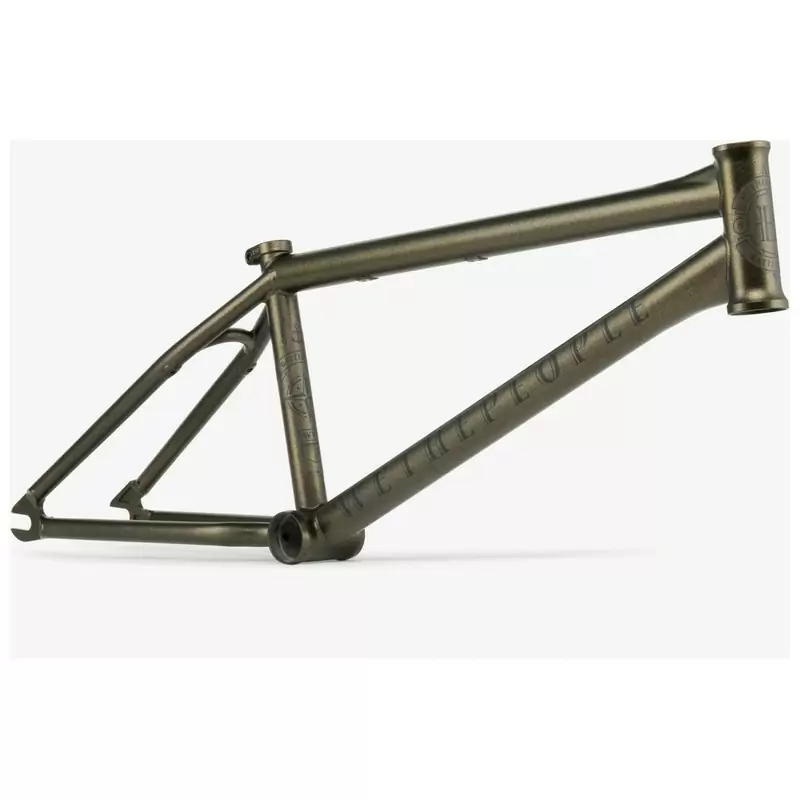 ridewill3819790