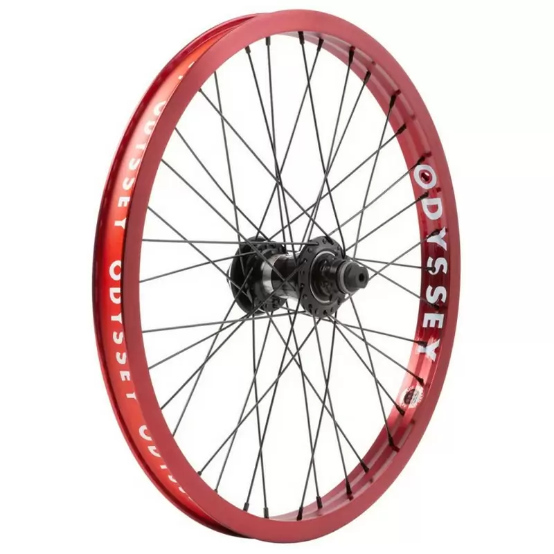 ridewill3823557
