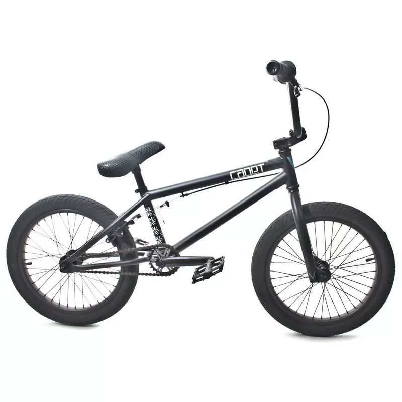 ridewill3827177