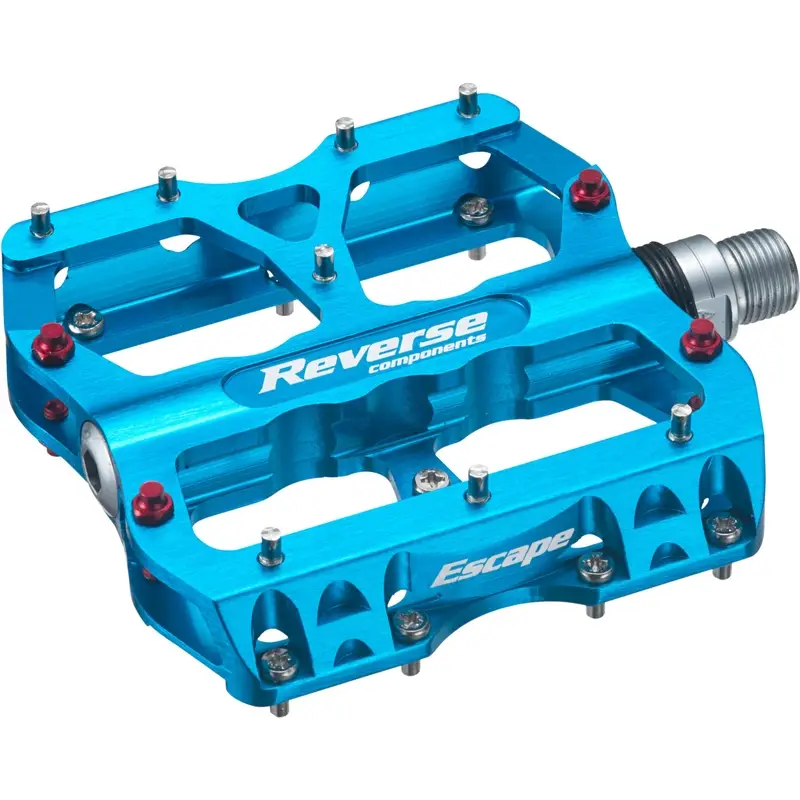 ridewill3828357