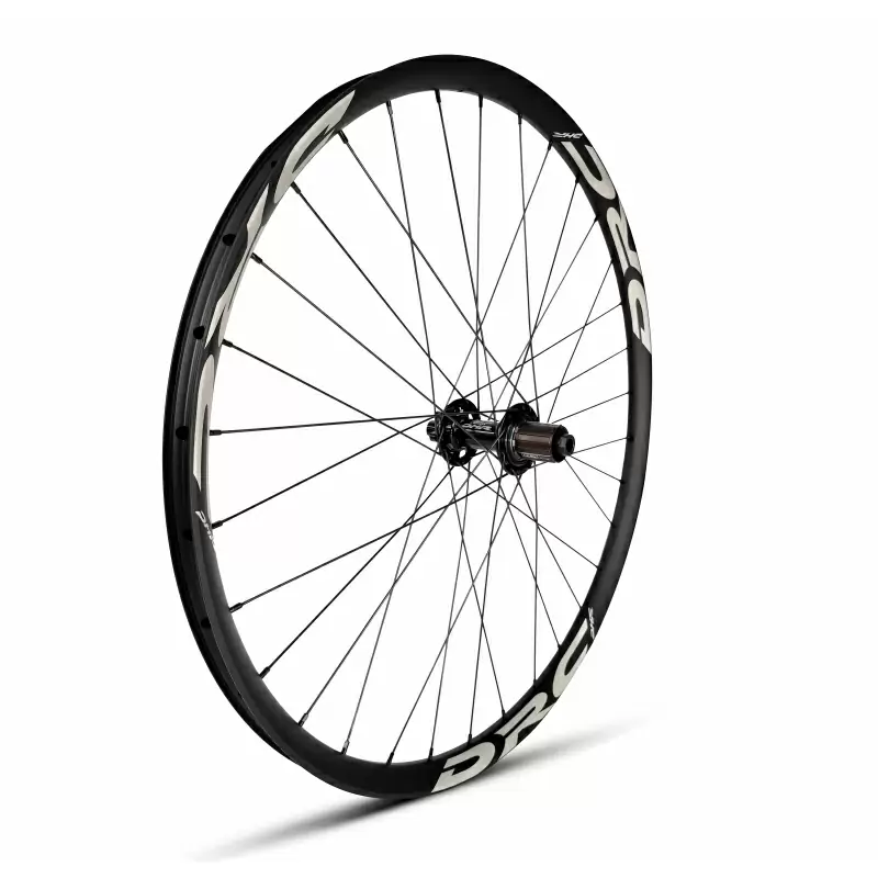 ridewill3842307