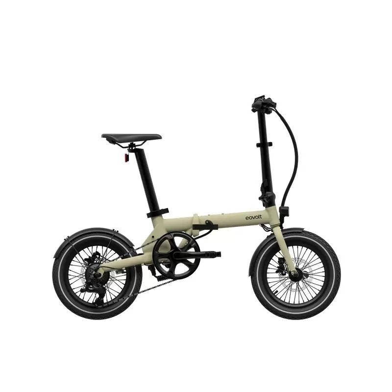 ridewill3853515
