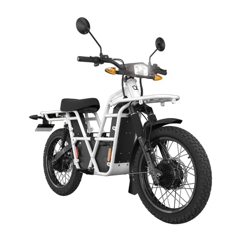 ridewill3866809