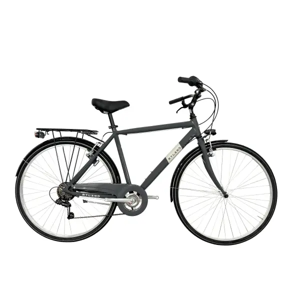 ridewill3878658