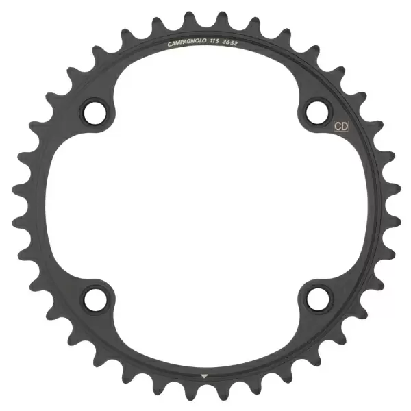 ridewill3883752