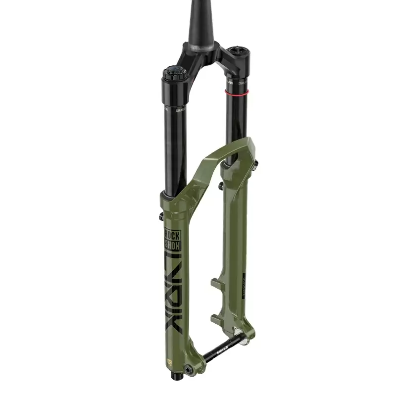 ridewill3930394