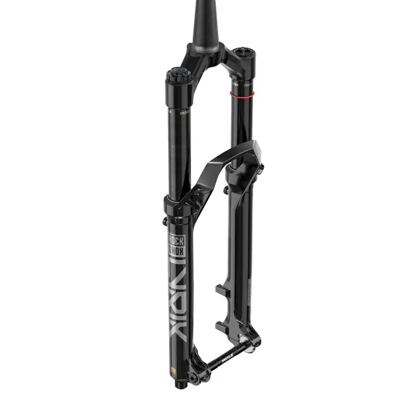 ridewill3930618