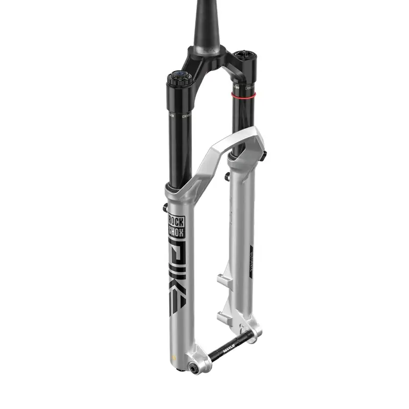 ridewill3930859